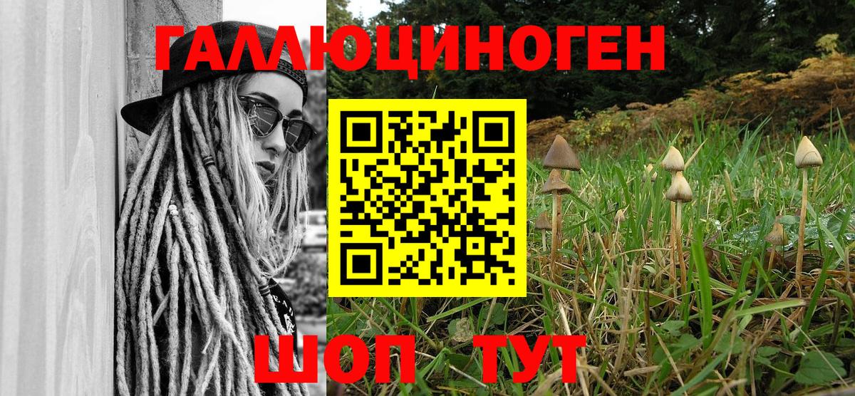 Волжский  Галлюциногенные грибы прущие грибы  Вход с VPN 